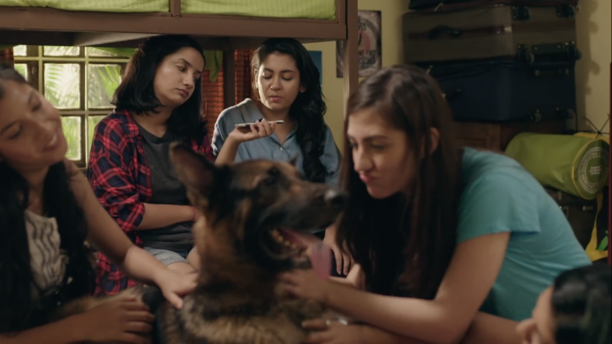 Pushpavalli Season 1 Episode 7 Recap: Finding Dukie